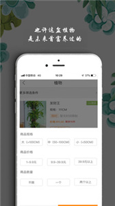 淘花运(3)