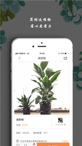 淘花运(1)