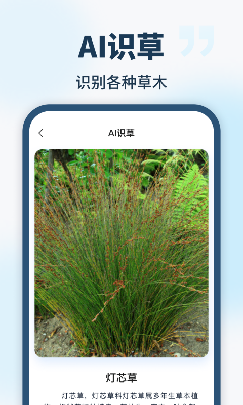 AI智能助手(1)