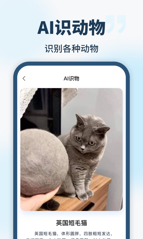 AI智能助手(2)