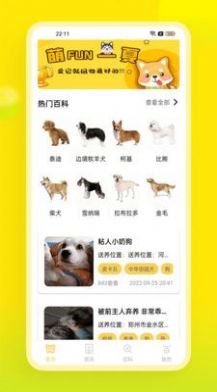 易超科(2)
