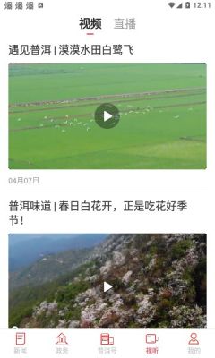 景迈山(3)