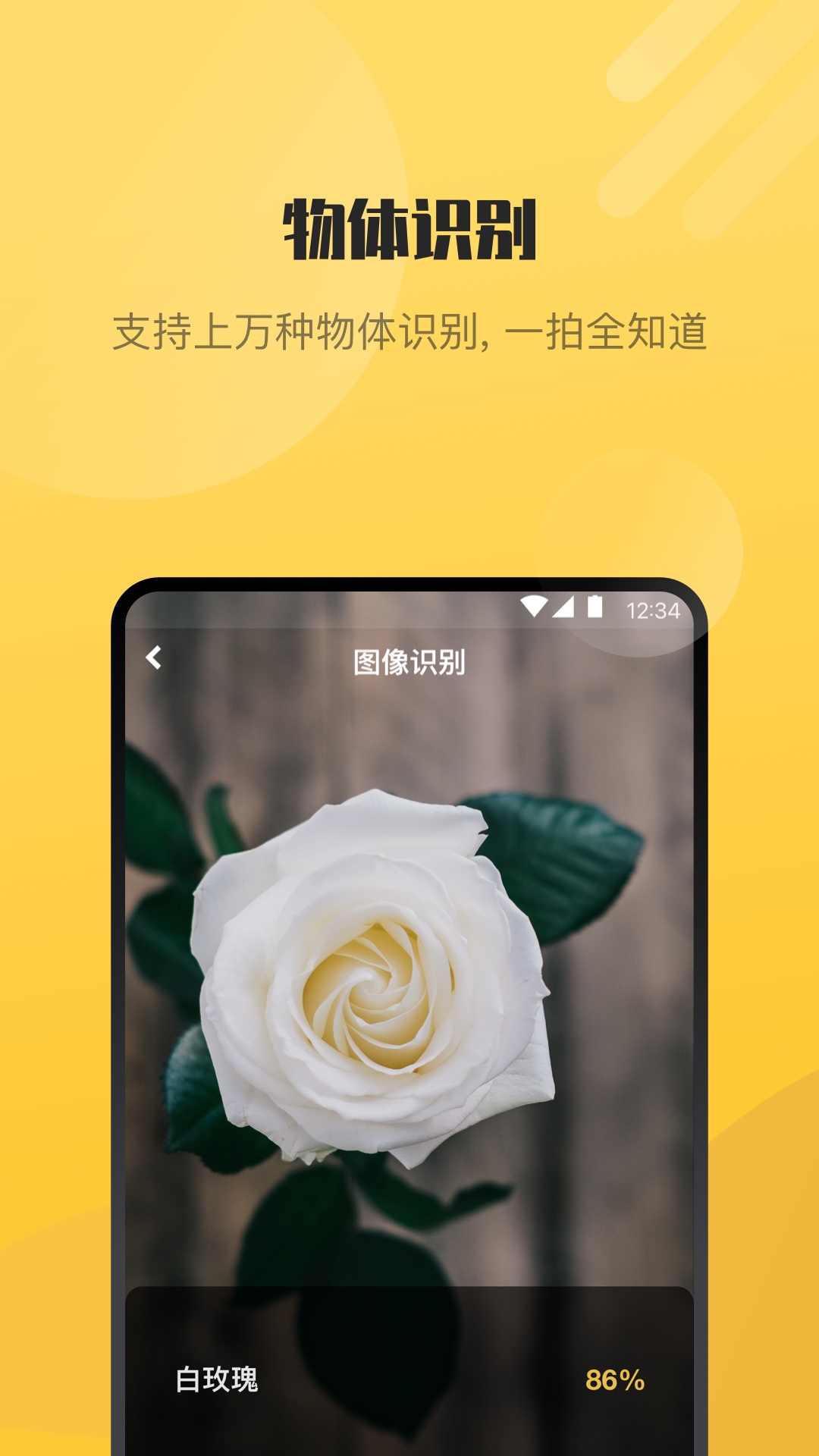 AI爱识别(1)