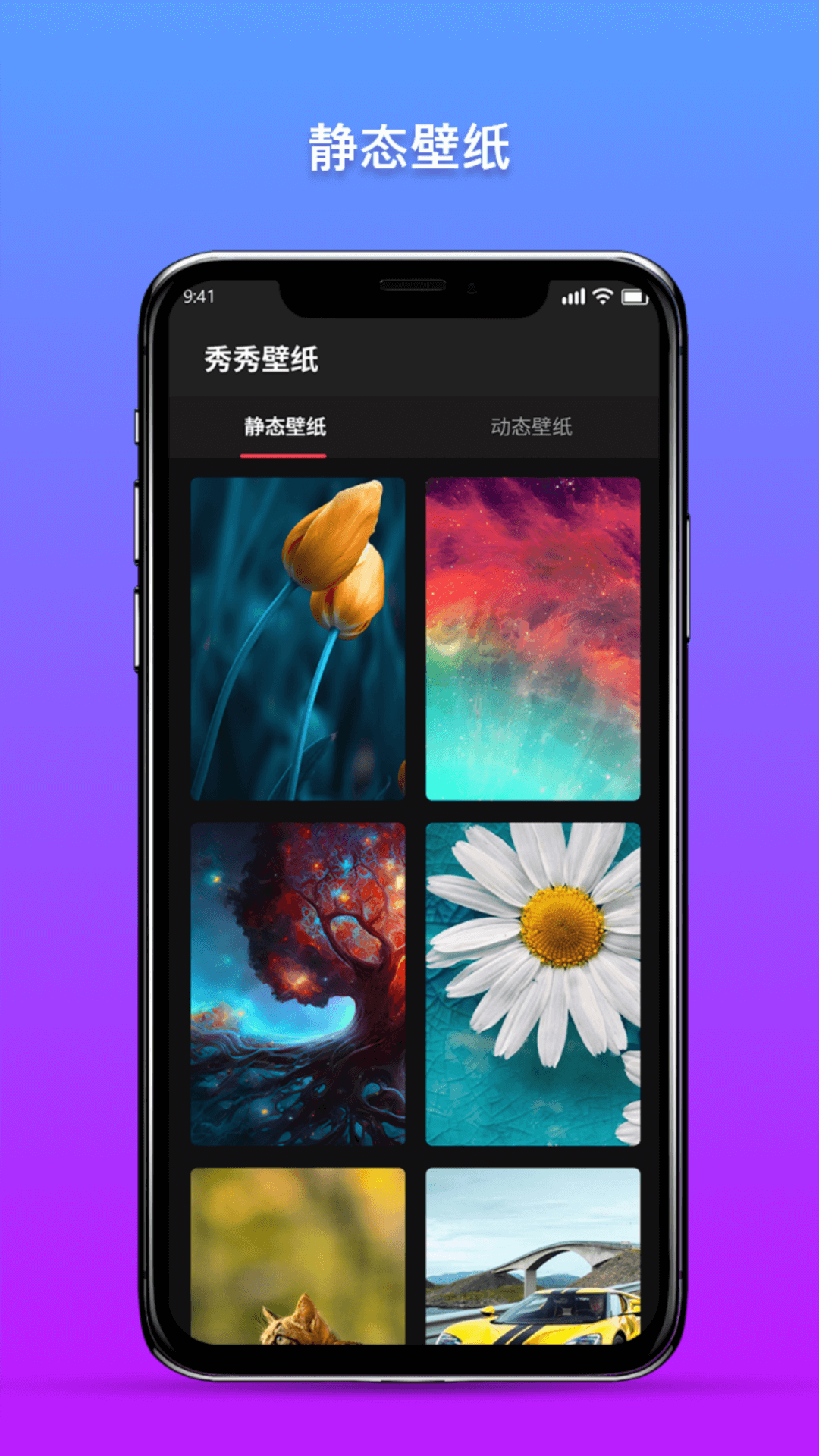 秀秀壁纸(1)