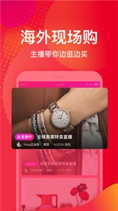 洋码头(2)