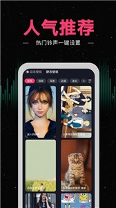 来电秀秀(3)
