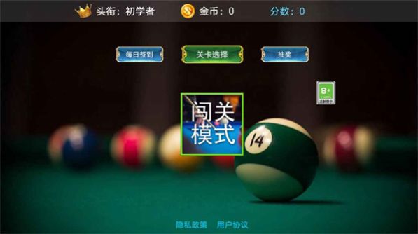 王者3D台球(1)