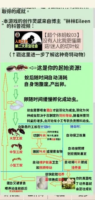 切叶蚁模拟器(1)