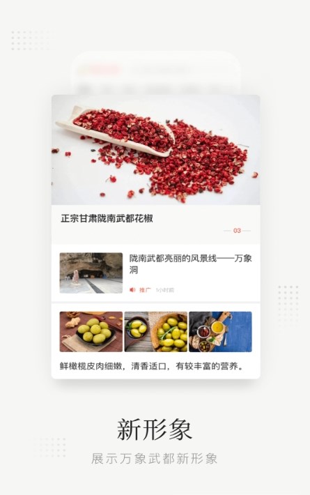 万象武都(3)