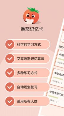 番茄记忆卡(2)