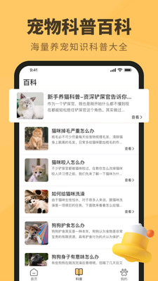 宠物日常(2)