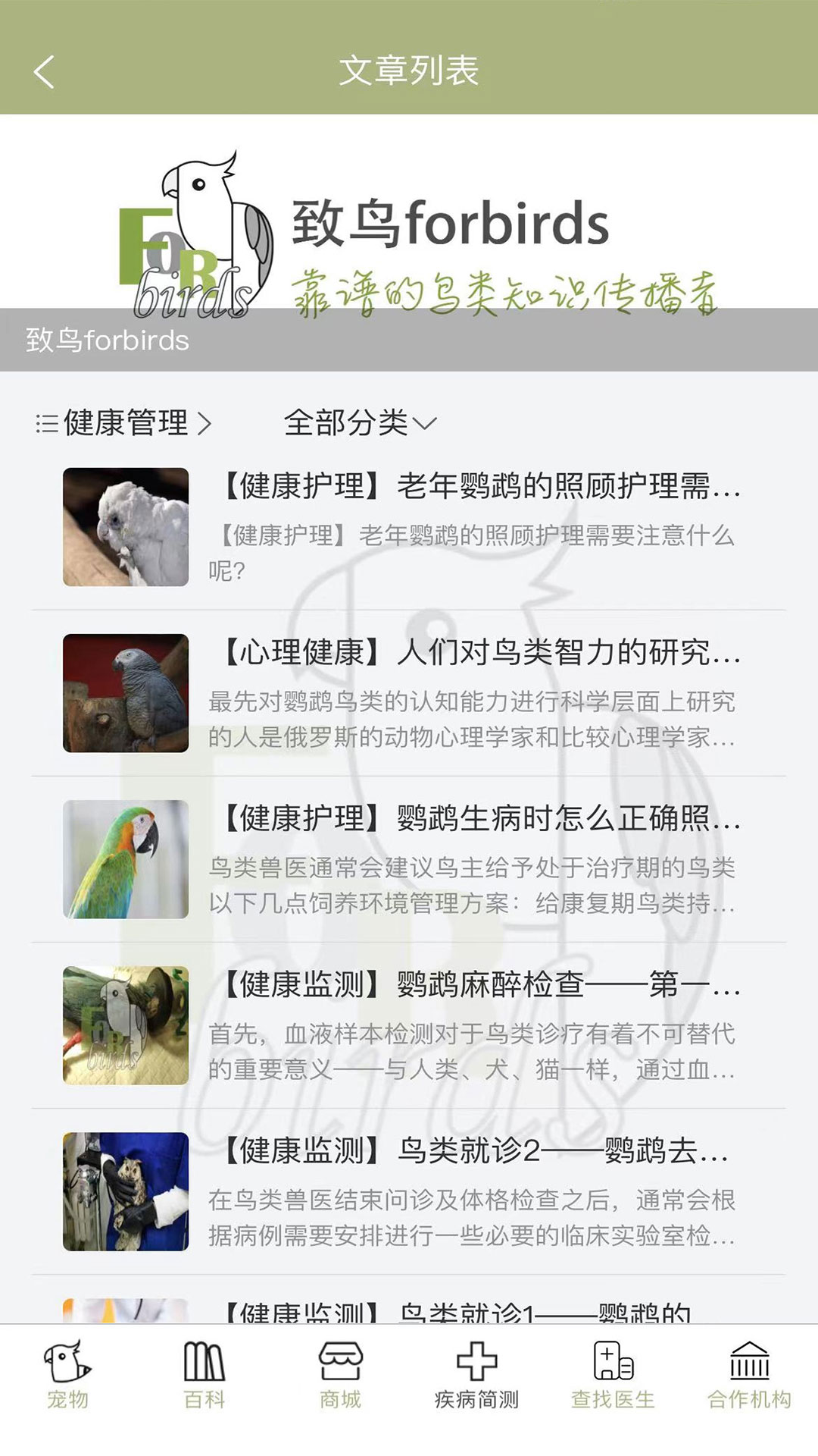 致鸟forbirds(1)