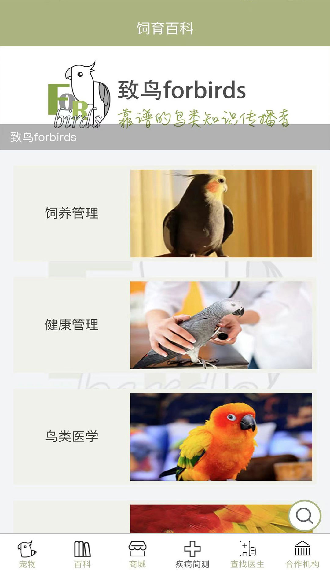 致鸟forbirds(4)