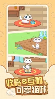 猫咪时刻(2)