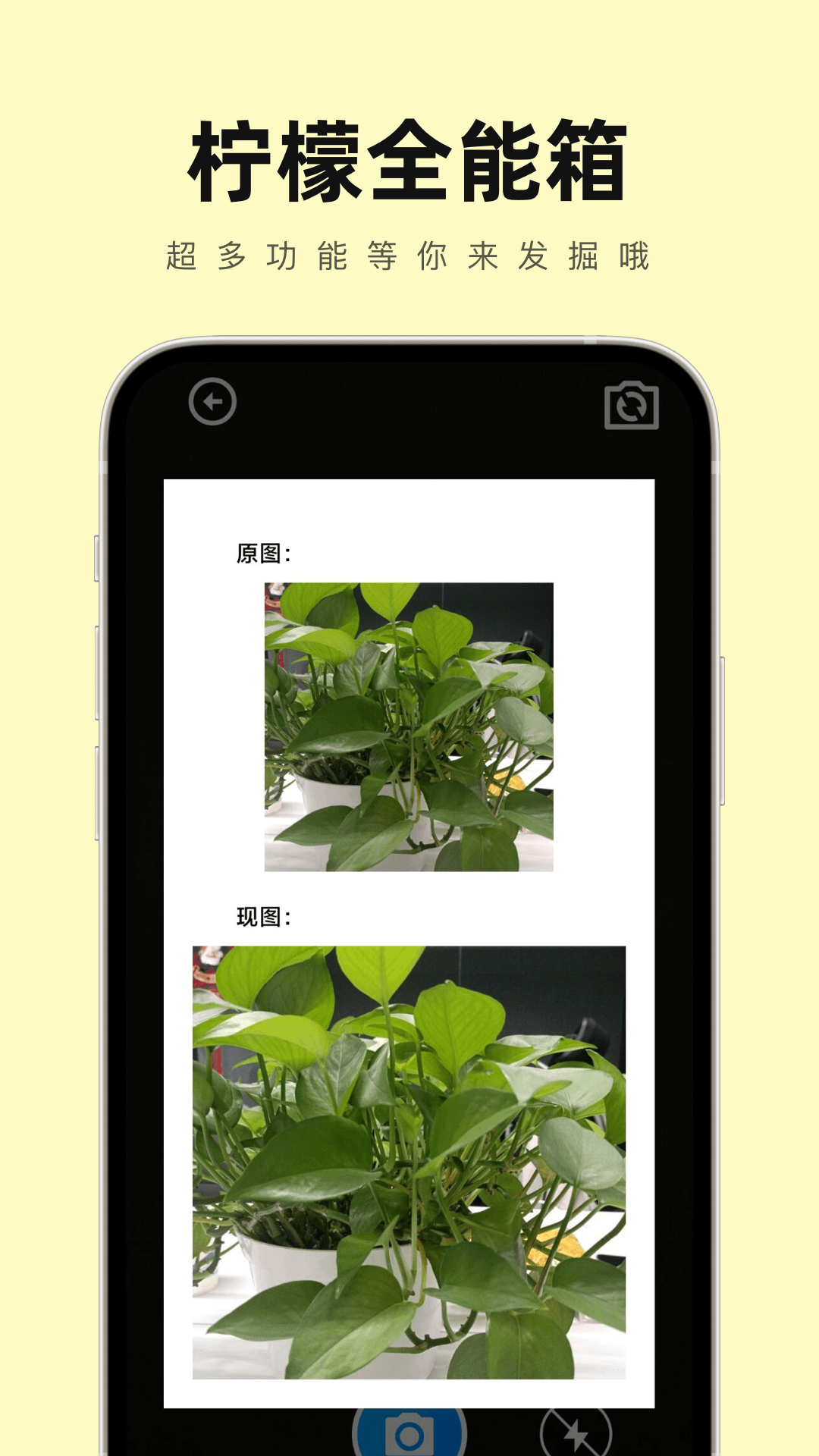柠檬全能箱(3)