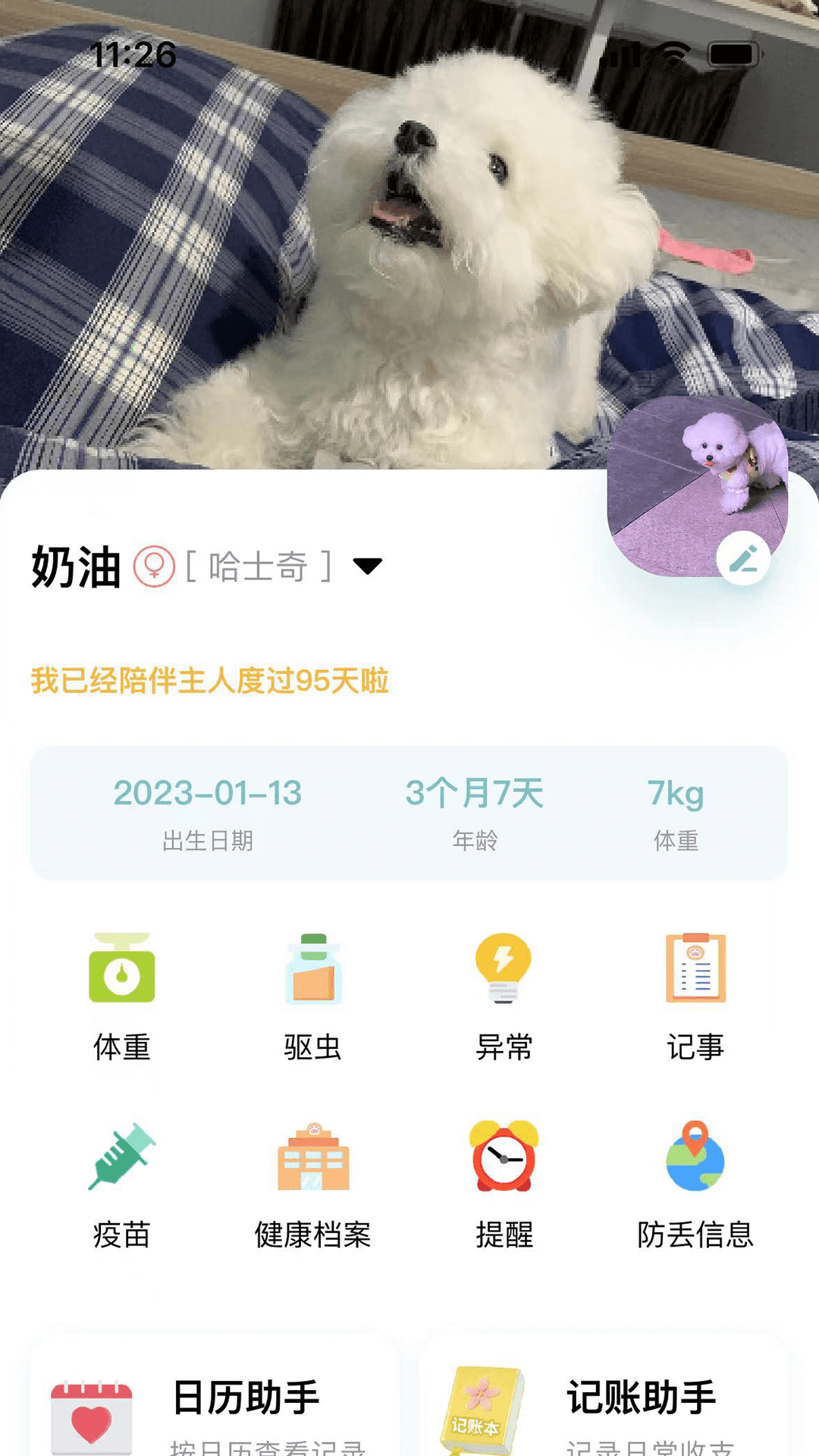 述宠(1)