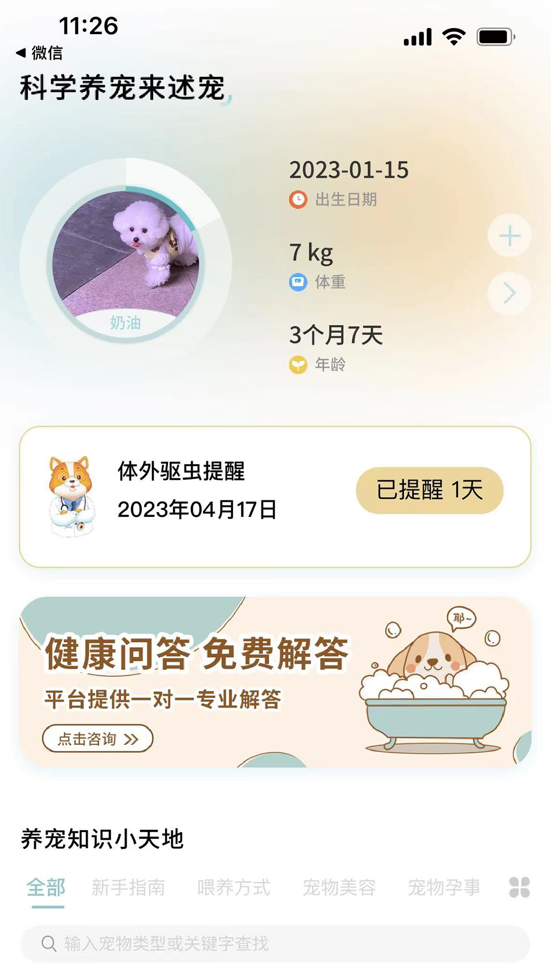 述宠(3)