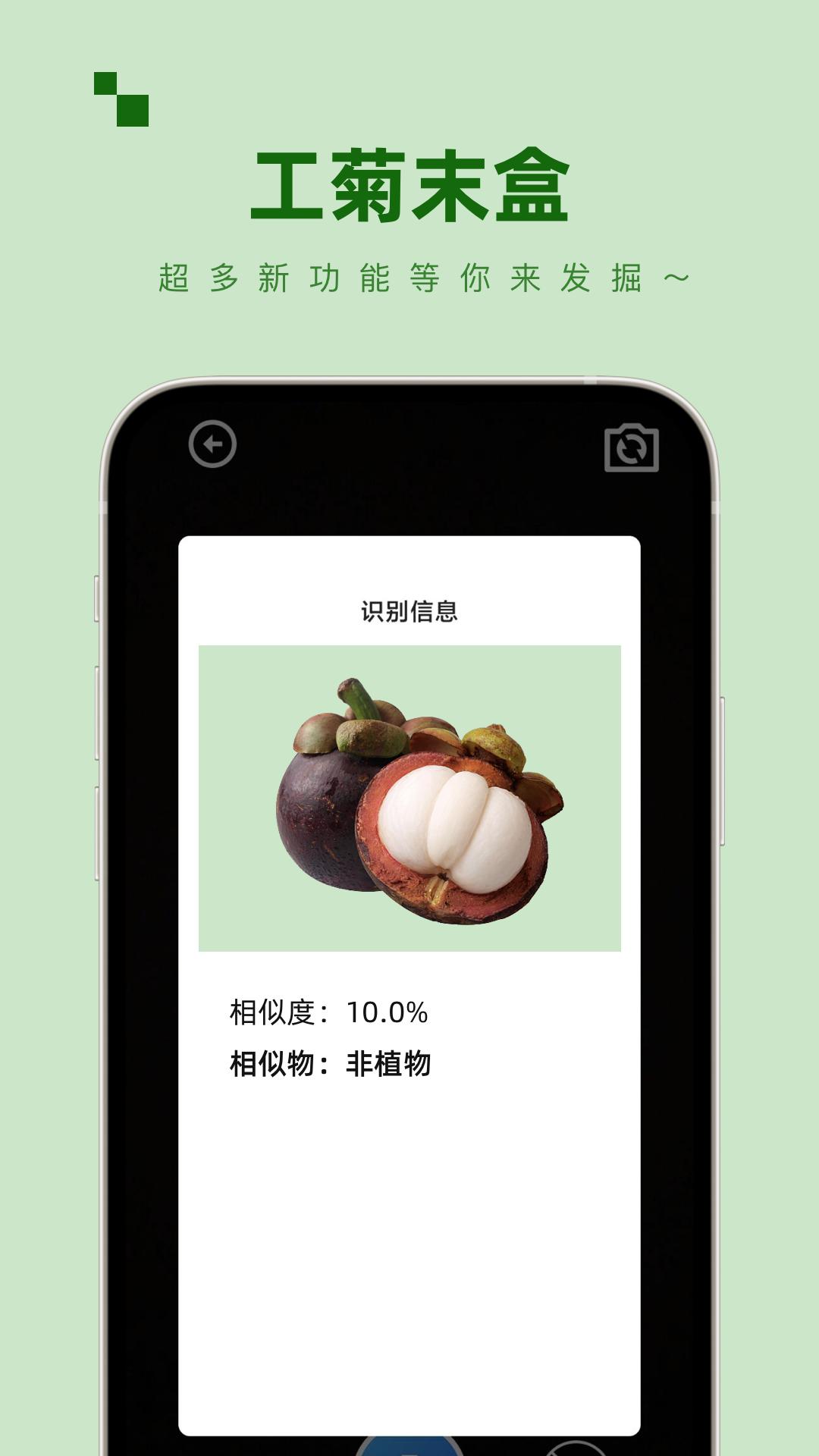 工菊末盒(1)
