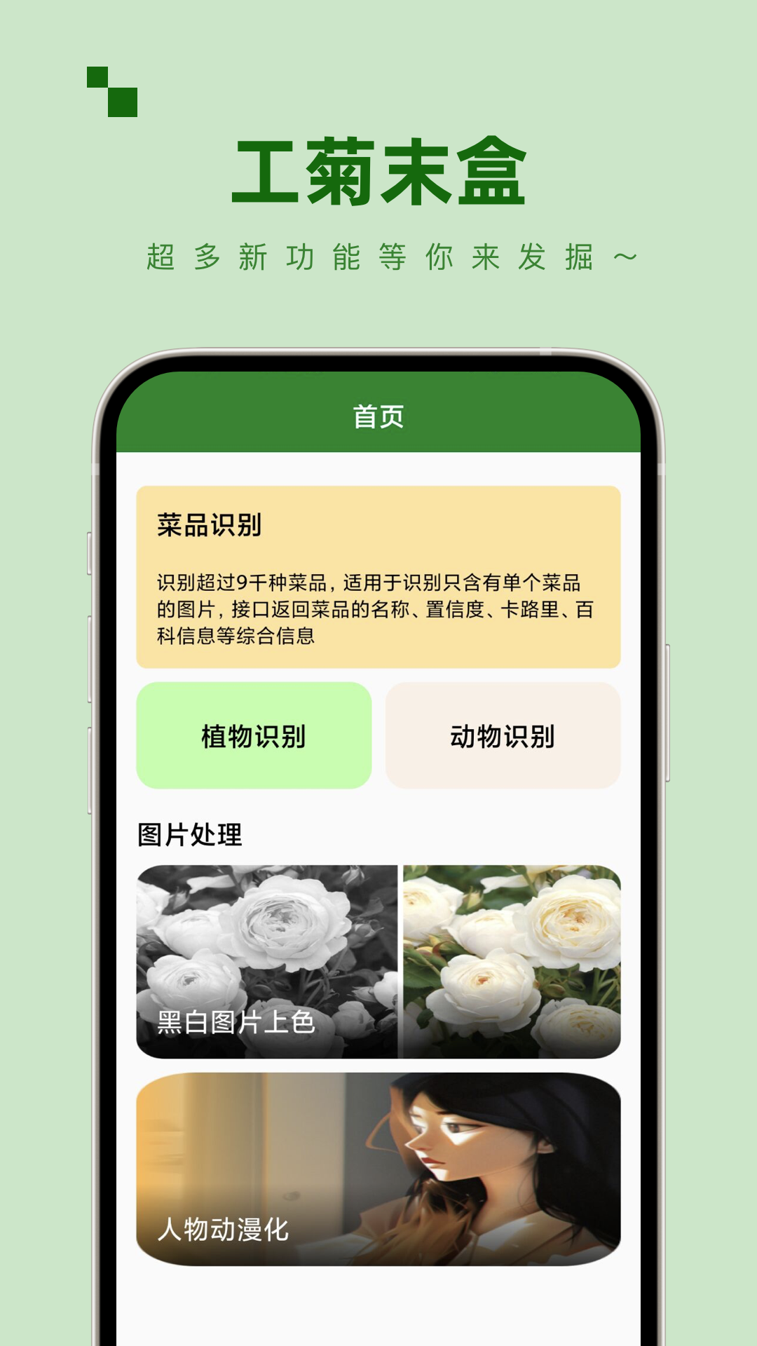 工菊末盒(2)
