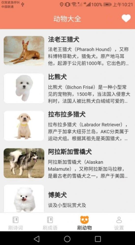 乐享刷刷(2)