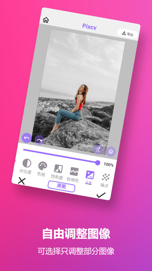 Pixcv(2)