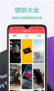 图橙最美壁纸(3)