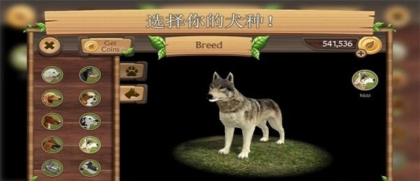 城市狗狗模拟生存(2)