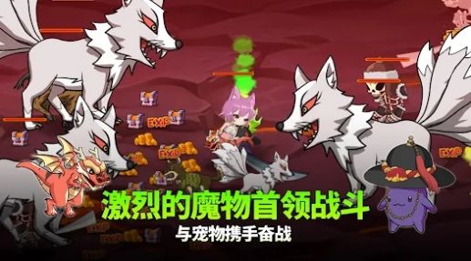 萌猫战神(3)