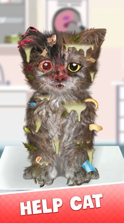 Cat Makeover(2)