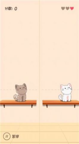 节奏猫猫(1)