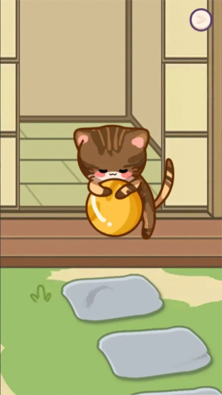 (在)线宠猫(3)