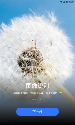 小熊扫描(3)