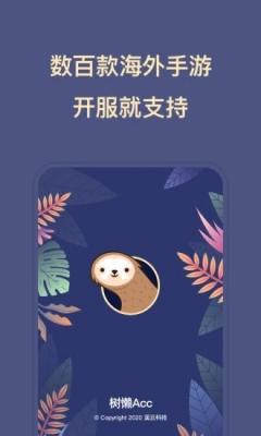 树懒Acc(3)