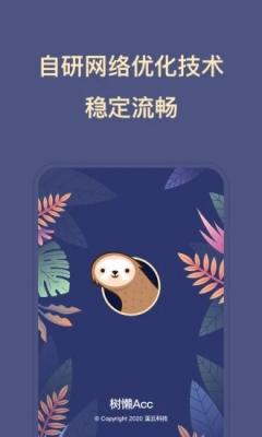 树懒Acc(4)