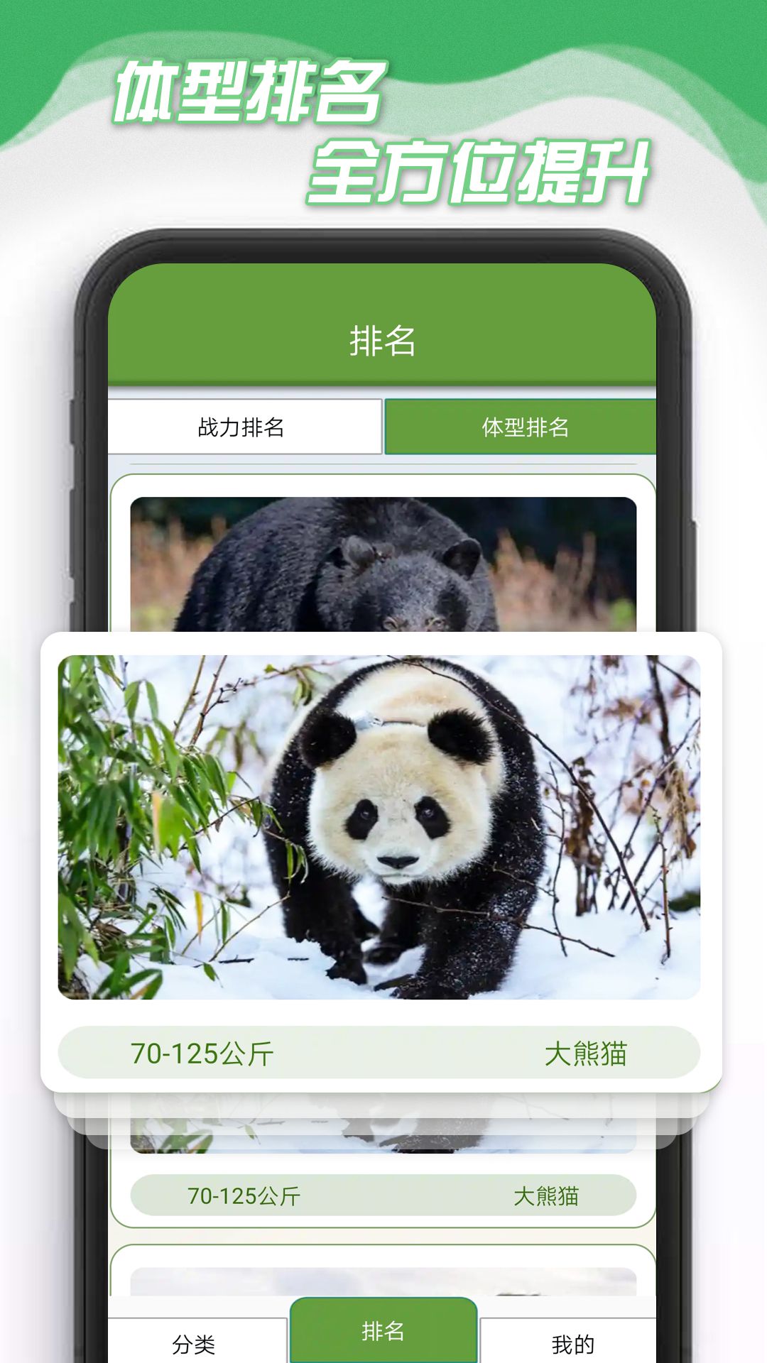 酷盟小熊(3)