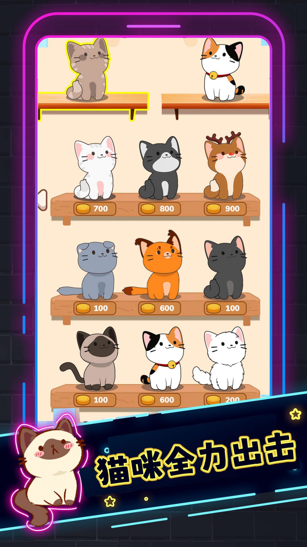 小猫喵喵(4)