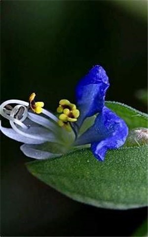爬虫(3)