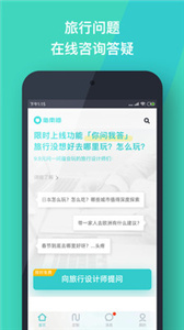 指南猫旅行(1)