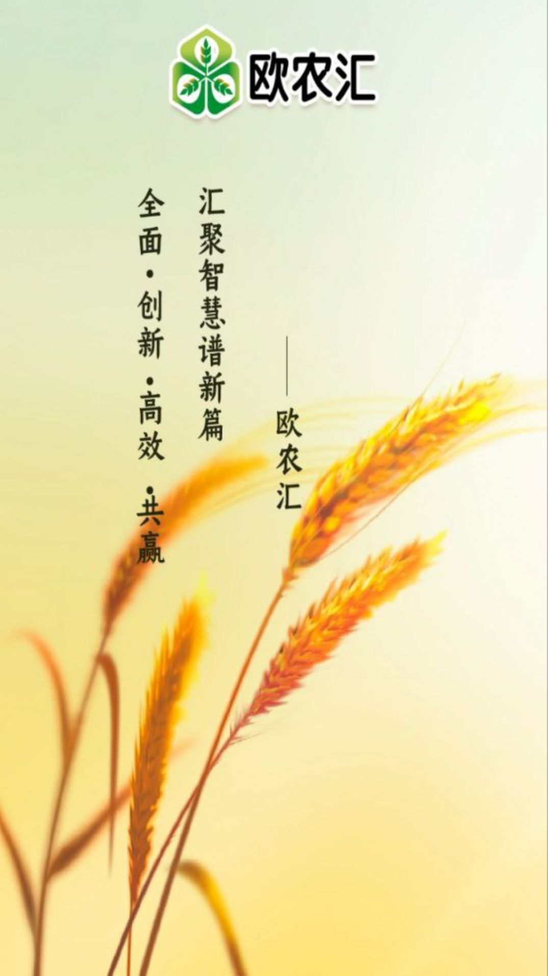 欧农汇(2)