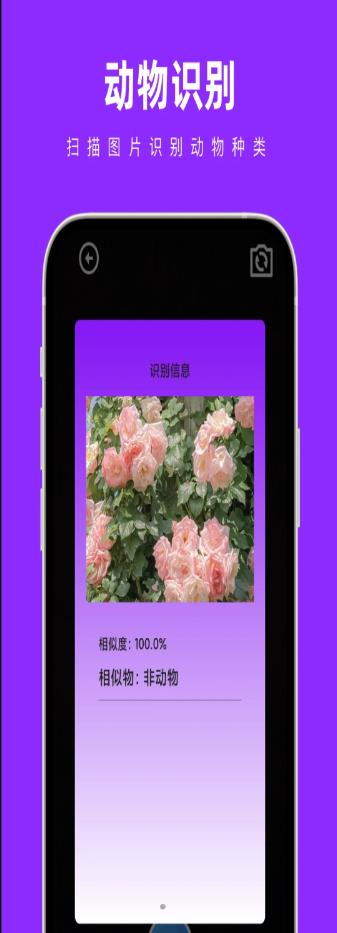 奇妙扫扫箱(1)