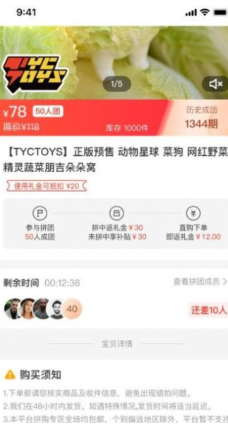 百乐猫(3)