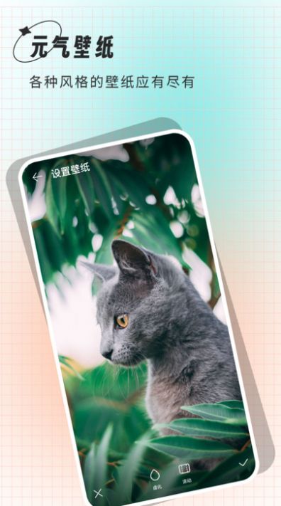 小鲸鱼壁纸(3)