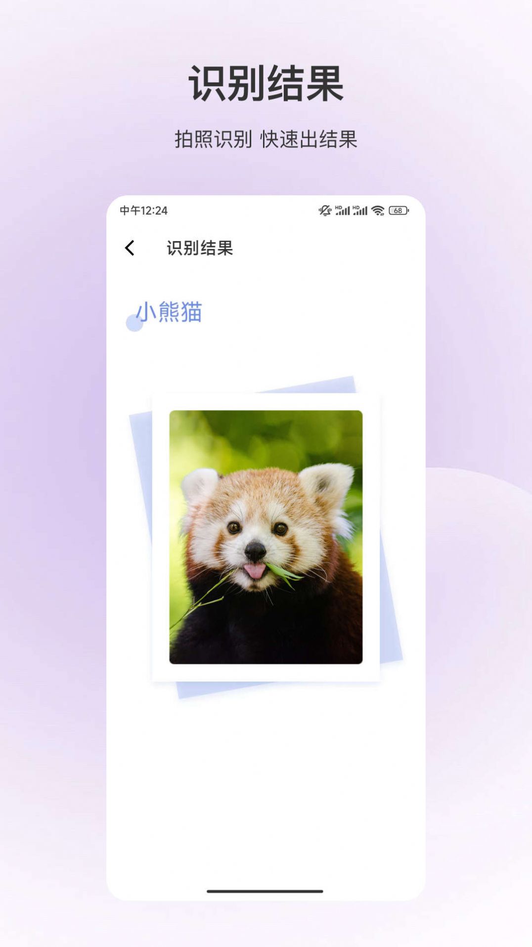 动物识别(2)