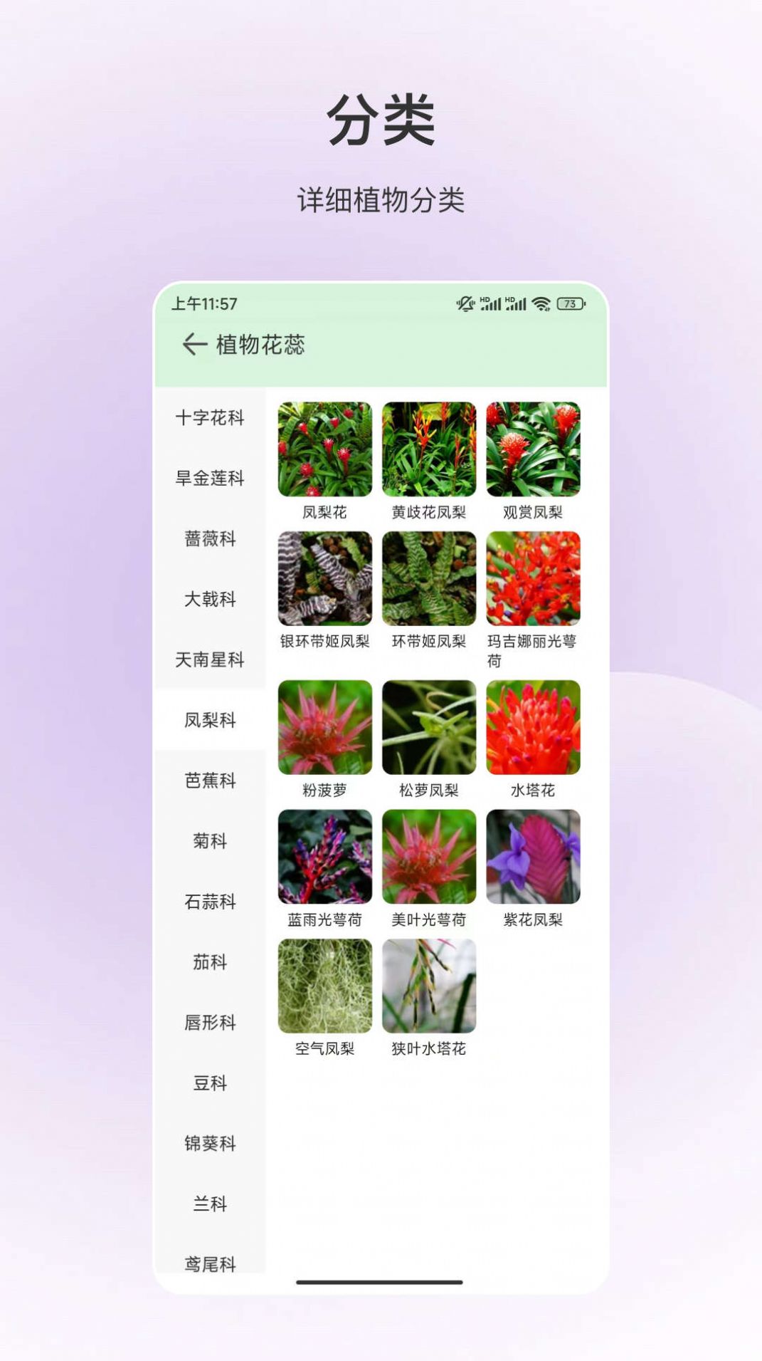 动物识别(3)