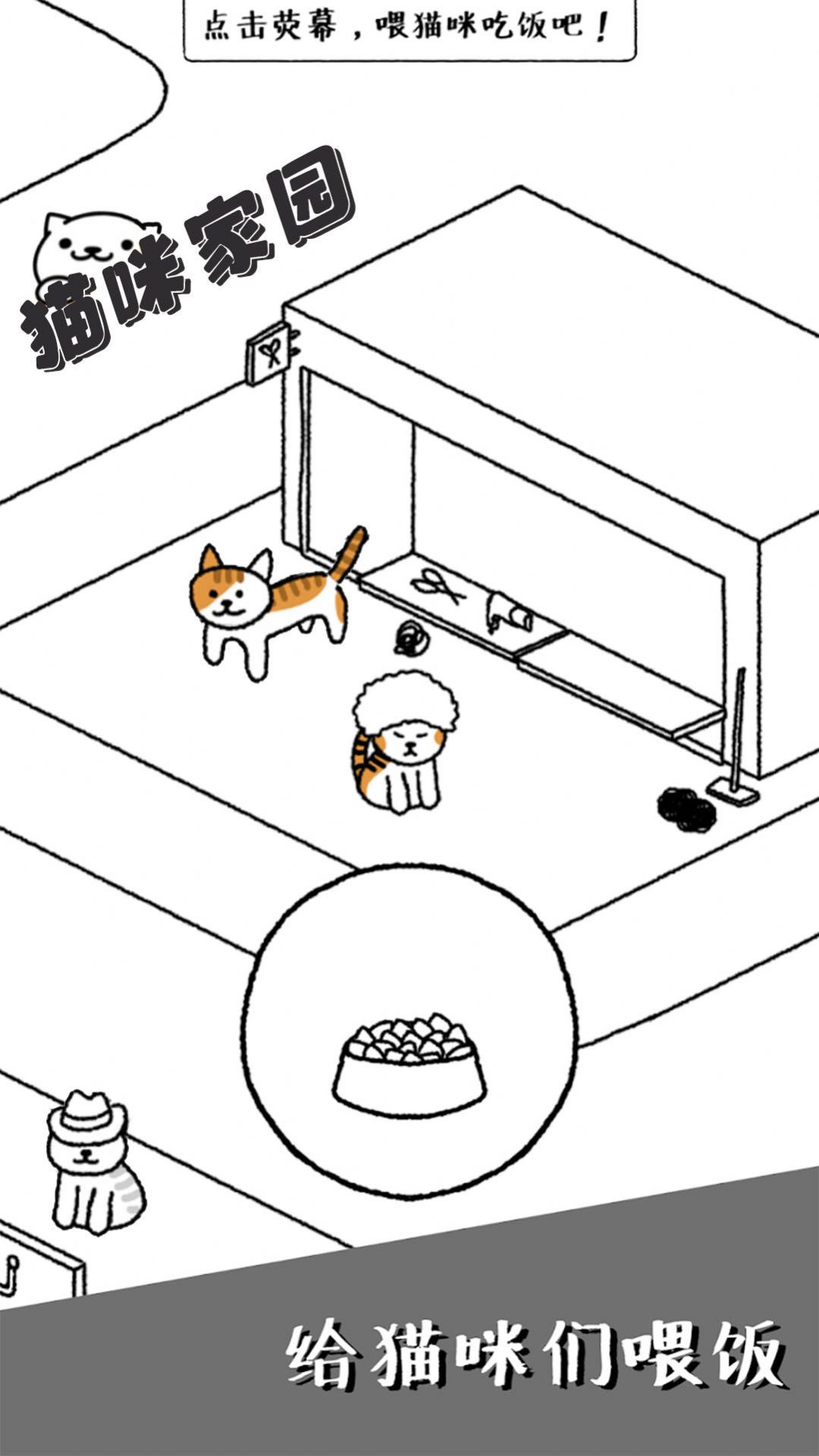 猫咪家园(1)
