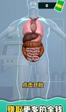 消化器官(1)