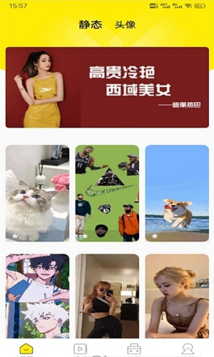 四季视频壁纸(2)