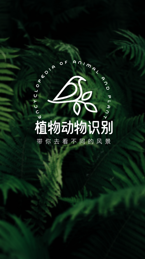 植物动物识别(4)