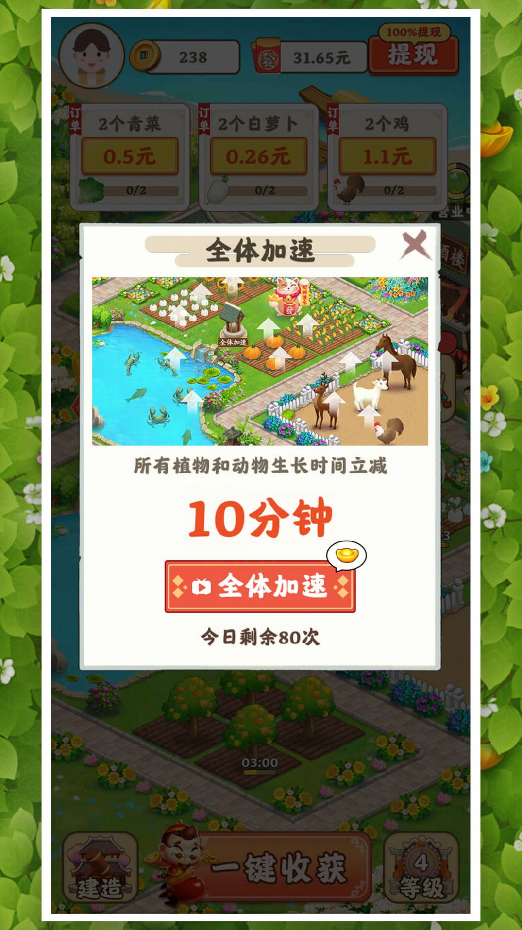 花园小农场(2)