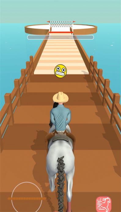 马匹改装(1)